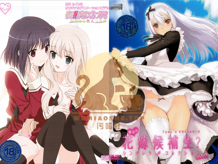 [里番推荐]2010年里番合集下载资源[持续更新]