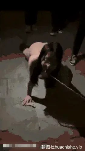 [130v11.1G]调教陈洁莹6期合集下载资源[持续更新]